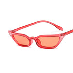 COOYOUNG Small Cat Eye Sunglasses Tint Candy Colorful Female Eyewear Sun Glasses Fashion Lunettes Gafas De Sol UV400